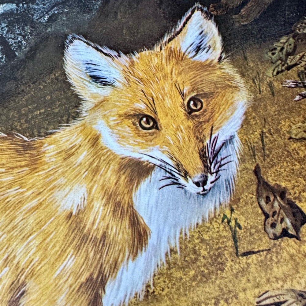 Vintage 1969 Gene Gray The American Red Fox Signed Lithograph Print 18x22 - Picture 5 of 9